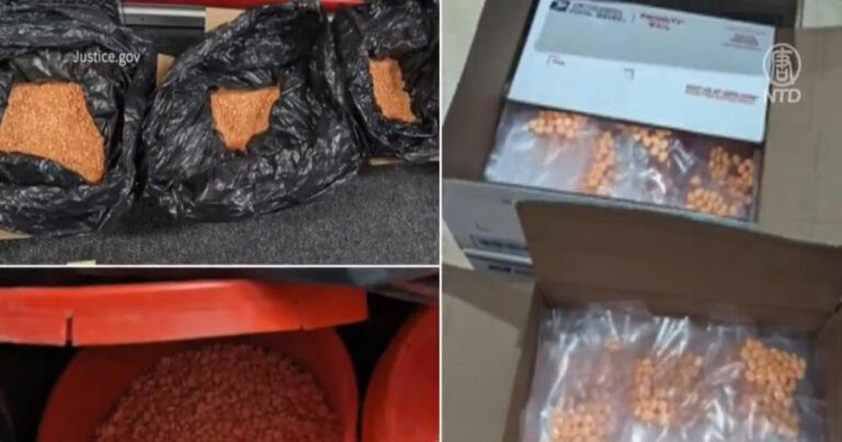 AS Tangkap 270 Pelaku Kejahatan Dark Web, Mahasiswa Berprestasi Asal Taiwan Jadi Gembong Narkoba