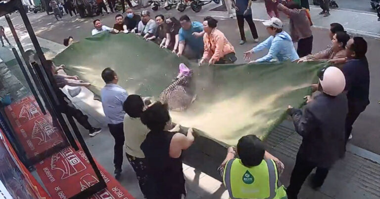 Nenek  Berusia 102 Tahun di Henan, Tiongkok  Terjatuh dari Lantai 3, Berhasil Diselamatkan oleh Warga 
