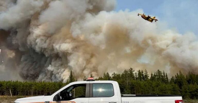 Kebakaran Hutan di Kanada Diduga Ulah Manusia? Sejumlah Tersangka Didakwa Karena Pembakaran