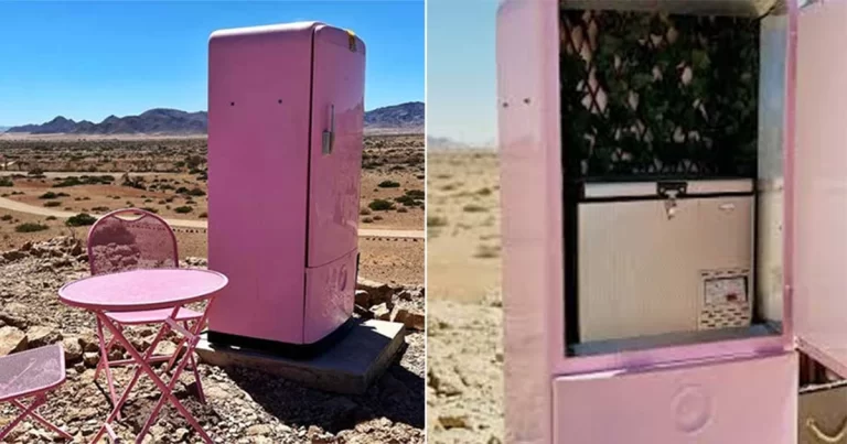 Kulkas Merah Muda di Tengah Gurun di Namibia adalah Oasis Modern