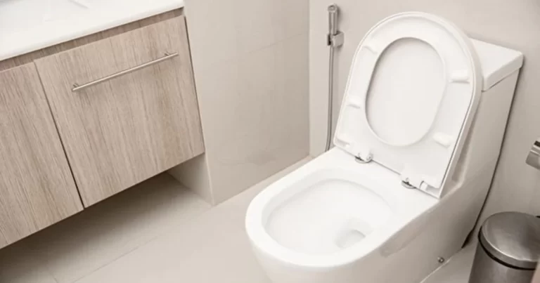 Seorang Pria Berlama-lama Main Ponsel di Toilet,  Tiba-Tiba Keluar Ususnya Sepanjang 13 CM