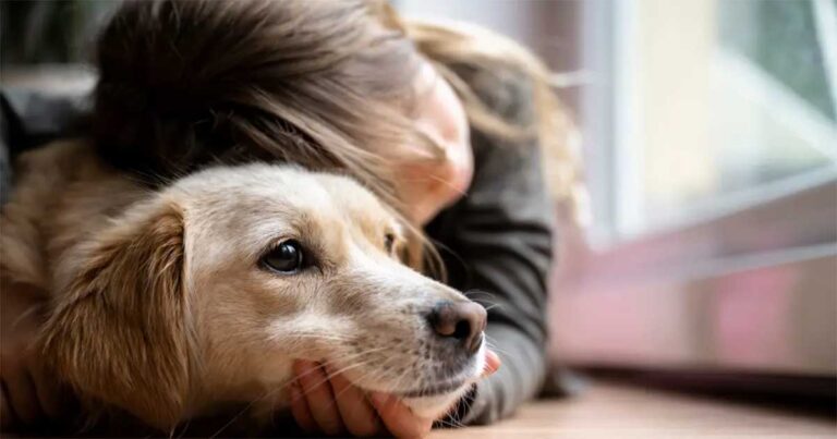 Memelihara Anjing Sejak Kecil Sapat Membuat Anak-anak Lebih sehat