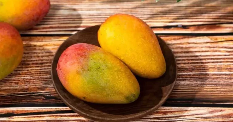 Tes Psikologis: Dari 4 Jenis Mangga Ini, Mana yang Menurutmu Paling Matang dan Manis? Uji Seberapa Sensitif Dirimu
