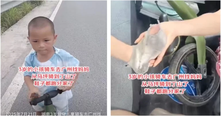 Mengharukan! Bocah 3 Tahun di Hunan, Tiongkok  Mengayuh Sepeda Menuju Guangzhou yang Berjarak Sekitar 520 Kilometer Demi Mencari Ibunya 