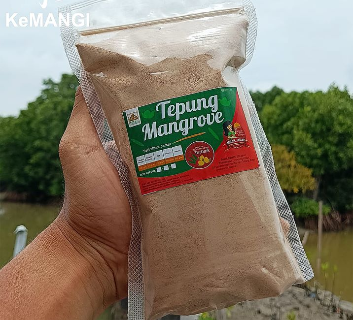 Protes Rencana Menanam Padi Biosalin di Kawasan Kebun Raya Mangrove Surabaya