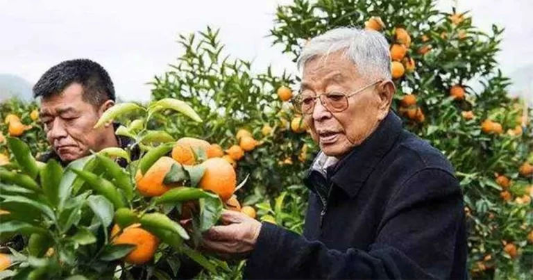 Dari Nol di Usia 73 Hingga Jadi Miliarder di Usia 85: Legenda Chu Shijian Wafat di Usia 91 Tahun