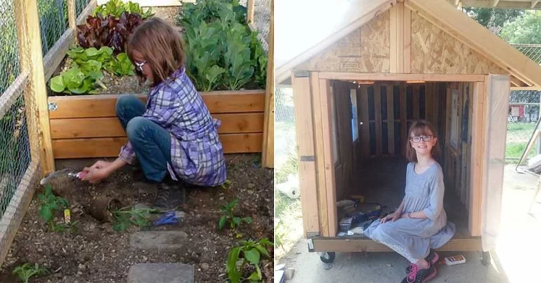 Dia Mulai Berkebun Sejak Usia 5 Tahun, Membangun Rumah di Usia 9 — Demi Menolong Tunawisma Agar Tidak Kelaparan dan Kedinginan