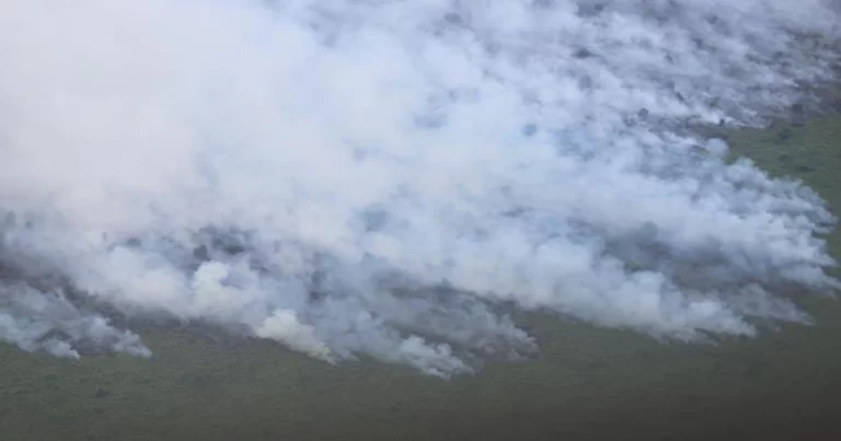 Tinjau Kebakaran Hutan dan Lahan di Riau, Kepala BNPB Perkuat Amunisi Satgas Karhutla