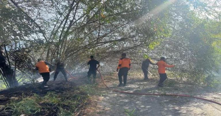 Kebakaran Hutan dan Lahan Melanda  Aceh, Riau, Sumsel, Sumbar dan Sumut