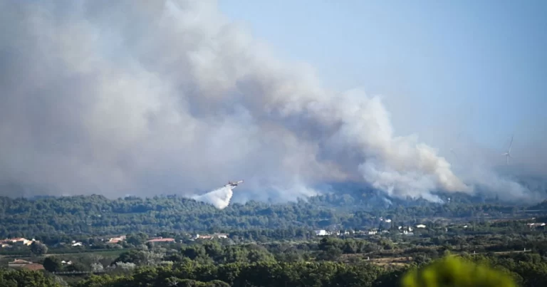 Kebakaran Hutan Melanda Prancis, Yunani Meminta Bantuan  Uni Eropa, Turki Pecahkan Rekor Suhu 50,5 Celcius
