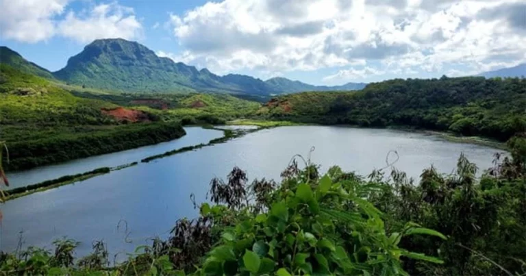 Kaum Kurcaci yang Hilang di Hawai: 17 Tahun Lalu, Seseorang Tanpa Sadar Masuk ke Dunia Mereka