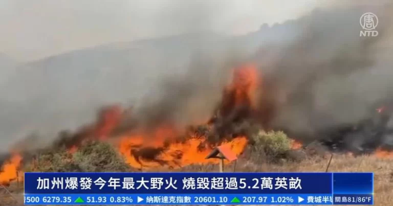 Kebakaran Hutan Terbesar di California Tahun Ini: Lebih dari 52.000 Hektare Terbakar