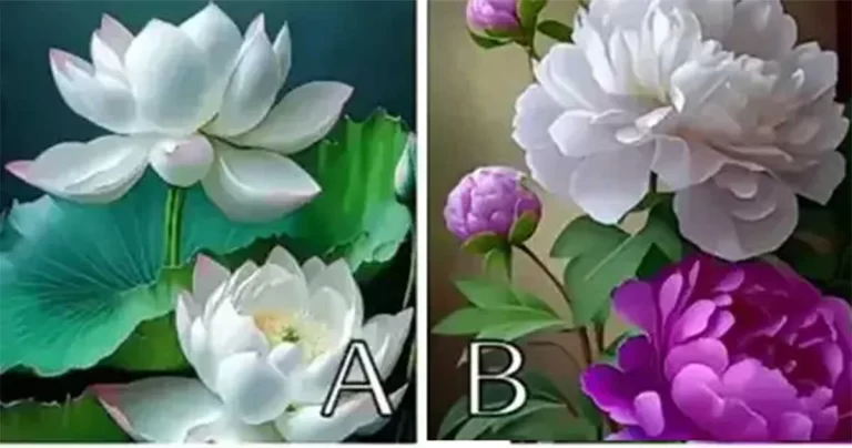 Tes Kepribadian: Kamu Lebih Sering Mencintai, atau Dicintai? Pilih Bunga yang Paling Membuatmu Terpukau!