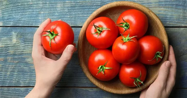 Wajib Dikonsumsi Setelah Usia 50! 4 Bahan Makanan Ini Bantu Lawan Oksidasi, Tak Hanya Cegah Penuaan Tapi Juga Lindungi Pembuluh Darah