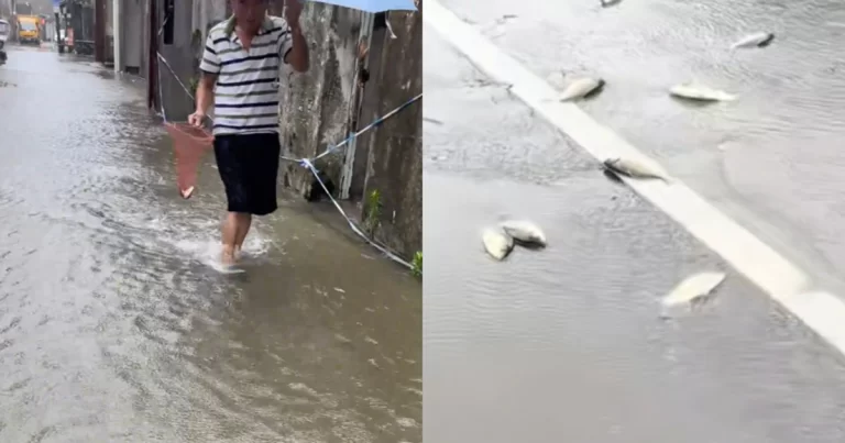 Topan Menerjang Tiongkok Membawa Segerombolan Ikan, Pria Ningbo Mengangkut Lebih dari 20 kg Ikan di Jalanan 