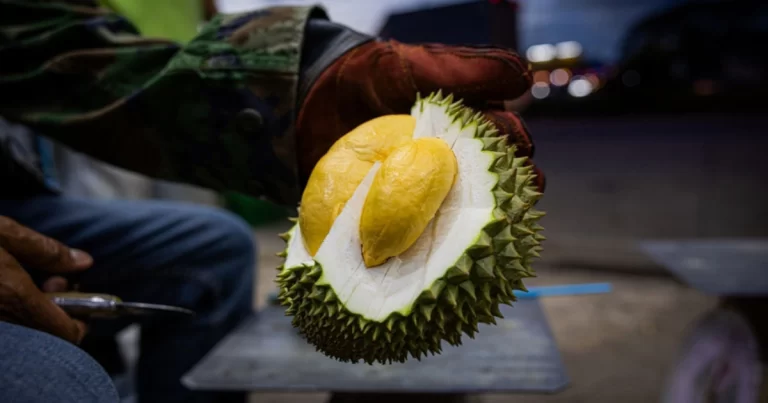 Seorang Wanita Menyantap Durian Lalu Minum Arak Putih, Alami Gagal Napas dan Nyaris Tewas