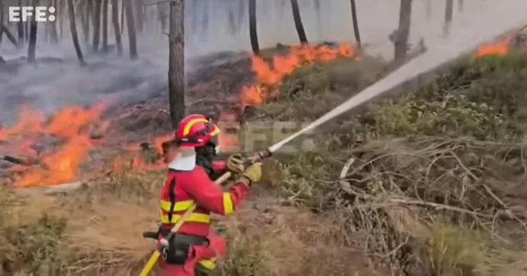 Kebakaran Hutan Terparah di Eropa Selatan – Militer Spanyol Kembali Dikerahkan untuk Padamkan 20 Titik Api