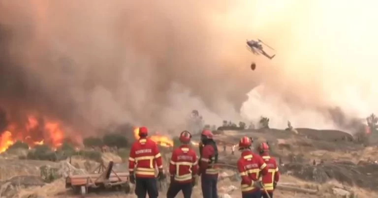 Gelombang Panas Berlanjut di Eropa Selatan, Kebakaran Melanda Pesisir Mediterania