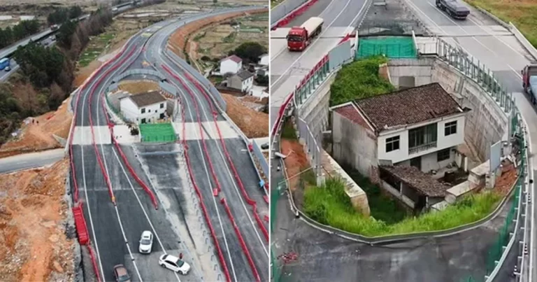 Pemilik ‘Rumah Paku’ Terkenal di Tiongkok Akhirnya Pindah Rumah Karena Tak Tahan dengan Bisingnya Lalu Lintas