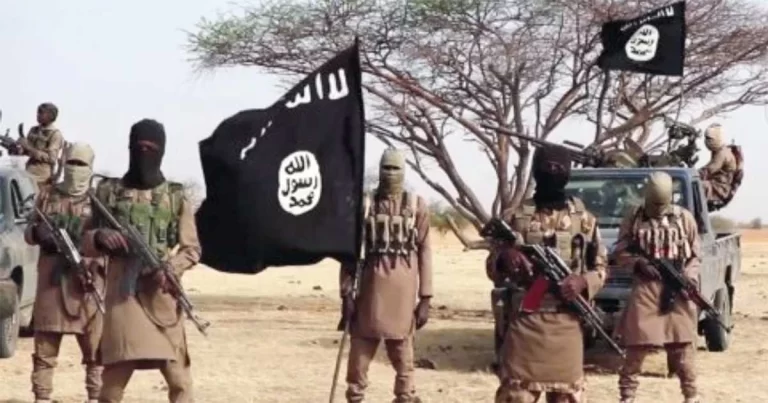 Menurut Laporan: Putra Pendiri Boko Haram Ditangkap di Chad