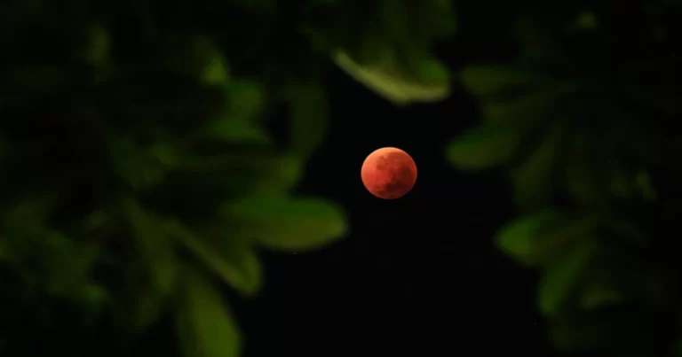 Foto-foto: Fenomena Langka “Bulan Darah” Menggantung di Langit Malam, Dapat Disaksikan dengan Mata Telanjang