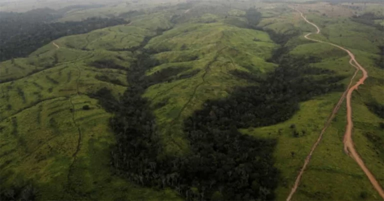 Studi : Luas Hutan Hujan Amazon Brasil Menyusut Seluas Spanyol dalam 40 Tahun
