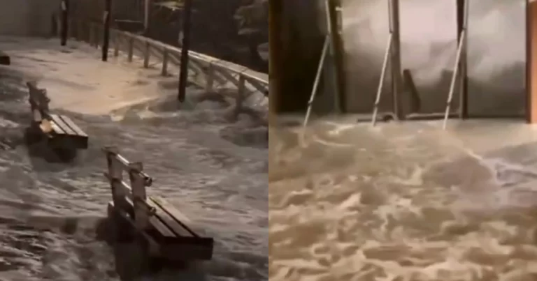 Topan Super Ragasa Menerjang, 100 Lebih Pohon Tumbang Hingga Air Laut Hantam Pintu Kaca Hotel di Hong Kong, Ada Orang yang Terseret Ombak