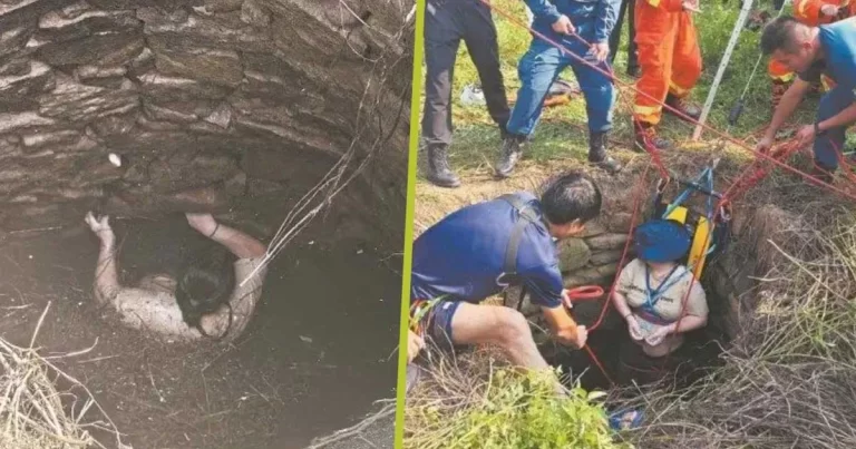 Wanita di Tiongkok Jatuh ke Dalam Sumur Tua, Dikelilingi Ular, dan Berpegangan di Dinding Selama 54 Jam Sebelum Diselamatkan