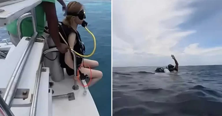 Penyelam Tiongkok Terombang-ambing di Tengah Laut Selama 40 Menit Setelah Terlupakan, Hotel di Maladewa Menolak Meminta Maaf