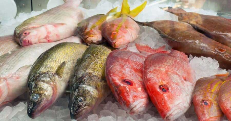 20 Menit Terakhir Sebelum Mati, Penderitaan Ikan yang Tak Pernah Kita Bayangkan