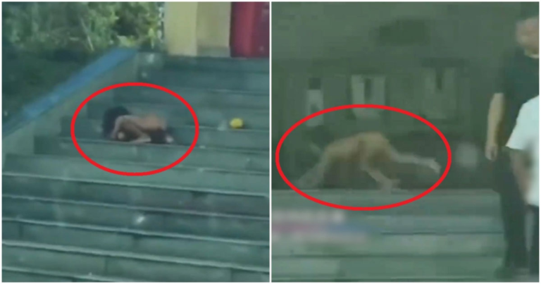 (Video) Viral ‘Bocah Serigala’ Telanjang Terlihat Merangkak Hingga Menggerogoti Area Layanan Tol Jalan Raya Sichuan, Tiongkok