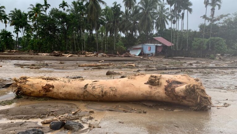Tiga Menteri dan Jejak Korporasi di Balik Ratusan Korban Jiwa Longsor-Banjir Sumatera 