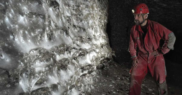 Jaring Laba-laba Terbesar di Dunia Merupakan Rumah bagi Lebih dari 111.000 Laba-laba
