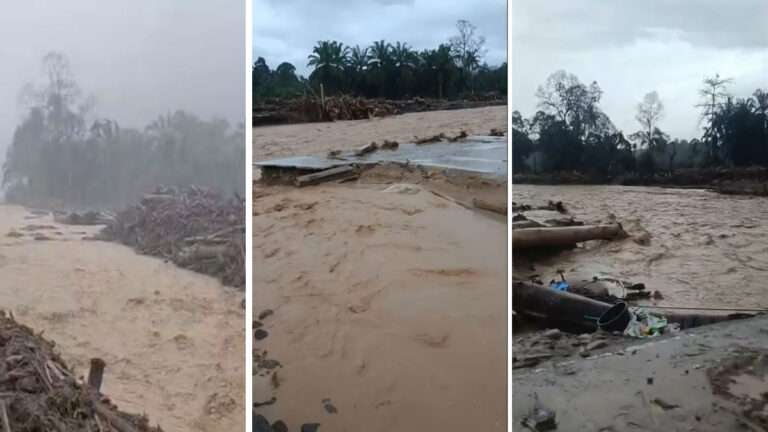 Desa Garoga Lenyap Ditimbun Lumpur dan Batang Kayu : Tragedi 140 Rumah di Balik Amukan Gergaji