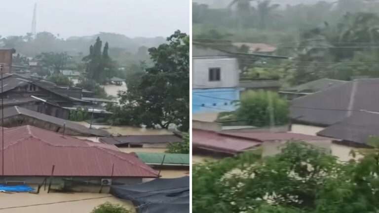 Di Balik 3 Meter Air Bah Besitang : Kisah Janda-Janda Tangguh dan Perjuangan Melawan Isolasi