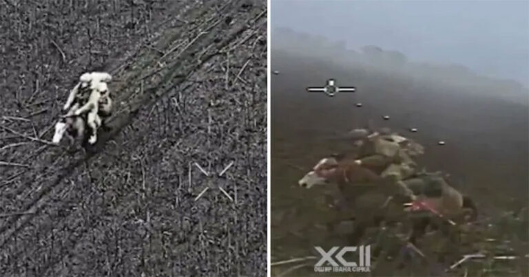 Video: Drone Ukraina ‘Mengunci’ Target Tentara Rusia di Atas Kuda, Ledakan Menyusul