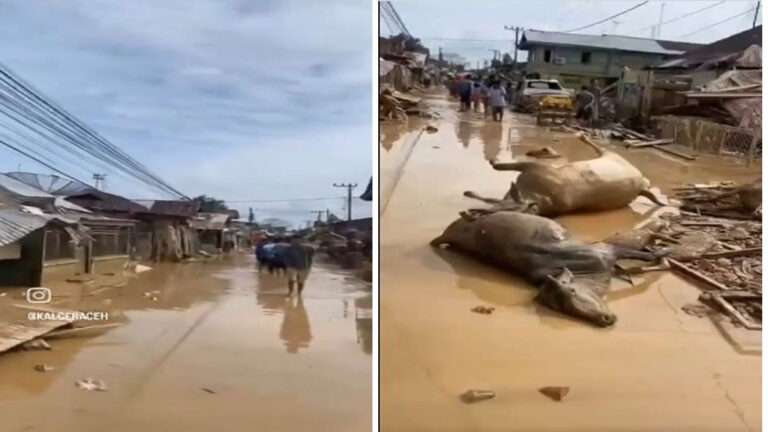 Kisah Penyintas Banjir Bandang dan Longsor : Mereka yang Tinggal Memiliki Baju di Badan