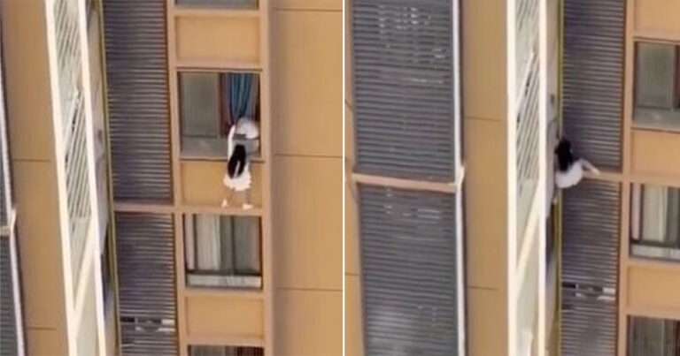 Video Wanita di Tiongkok yang Melarikan Diri dari Istri Kekasihnya dengan Memanjat Dinding Gedung Tinggi untuk Bersembunyi di Apartemen Sebelah Viral