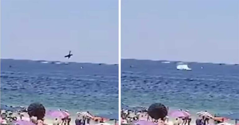 Video:  Pesawat Kecil Jatuh ke Laut di Brasil, Pilot Tewas