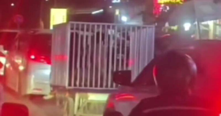 Terang-terangan! Beredar Kabar “Korban” Diangkut dengan Kandang Besi di Jalanan Kamboja 