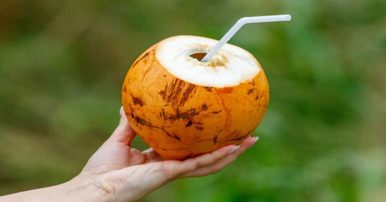Minuman Elektrolit Alami dari Alam: Mengapa Air Kelapa Sangat Menghidrasi