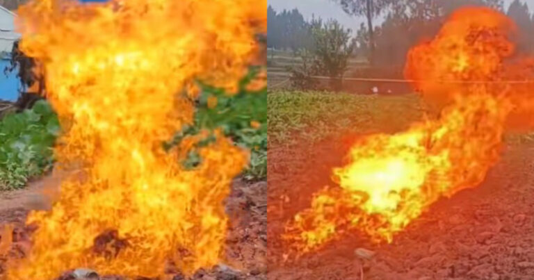 Mengejutkan! Insiden Langka Lahan Sayur di Sichuan, Tiongkok Terbakar, Menyala 7 Hari Berturut-turut Tak Padam Meski Hujan Turun