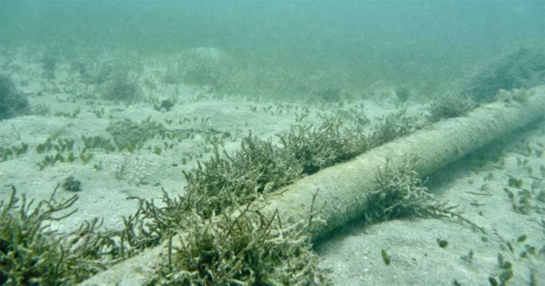 Kerusakan Kabel Komunikasi Bawah Laut di Teluk Finlandia