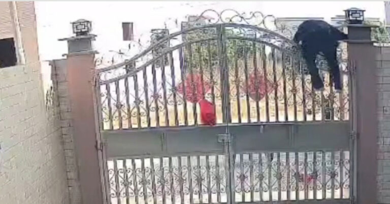 Nenek 82 Tahun di Tiongkok Memanjat Pagar Setinggi 3 Meter untuk Keluar Rumah, Rekaman CCTV Bikin Merinding
