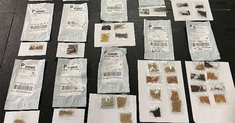 Texas Waspada! Paket Benih Misterius dari Tiongkok Diduga Bawa Ancaman Biologis