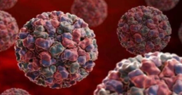 Norovirus Merebak di SMA Foshan, Guangdong, Tiongkok, Jumlah Terinfeksi Meningkat Pesat
