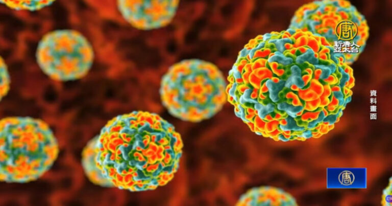 Rhinovirus Kembali Merebak di Tiongkok, Banyak Virus Menyebar Bersamaan, Kematian Mendadak Meningkat Tajam