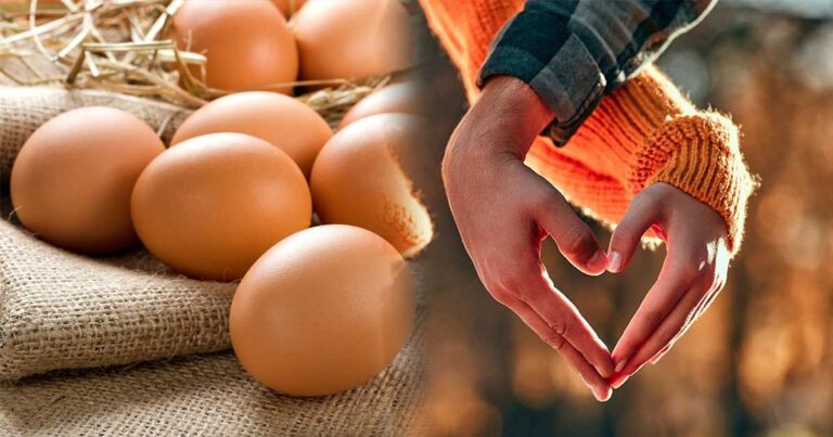 Delapan Butir Telur Mengalahkan Cinta