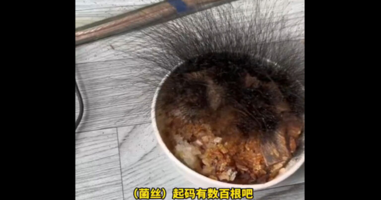 Mengejutkan! Seorang Pria  Kembali Bekerja Usai Libur Imlek, Nasi Daging Sapinya Tumbuh “Rambut Hitam” 15 Sentimeter