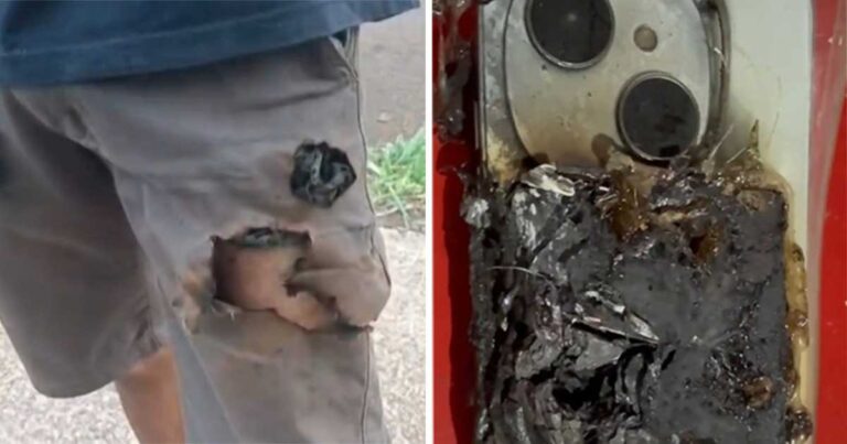 Seorang Pria yang Diserang Anjing Secara Tak Terduga Selamat Berkat Ledakan Ponsel di Sakunya
